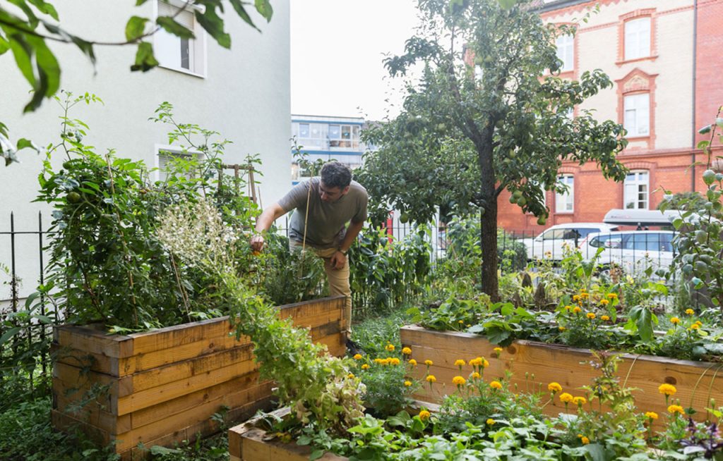 stadtlich grün, Foto Urban Gardening